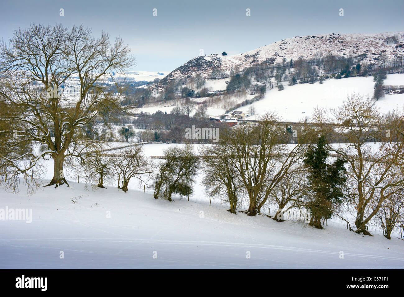 Welsh confini nevoso inverno scena, POWYS, GALLES Foto Stock