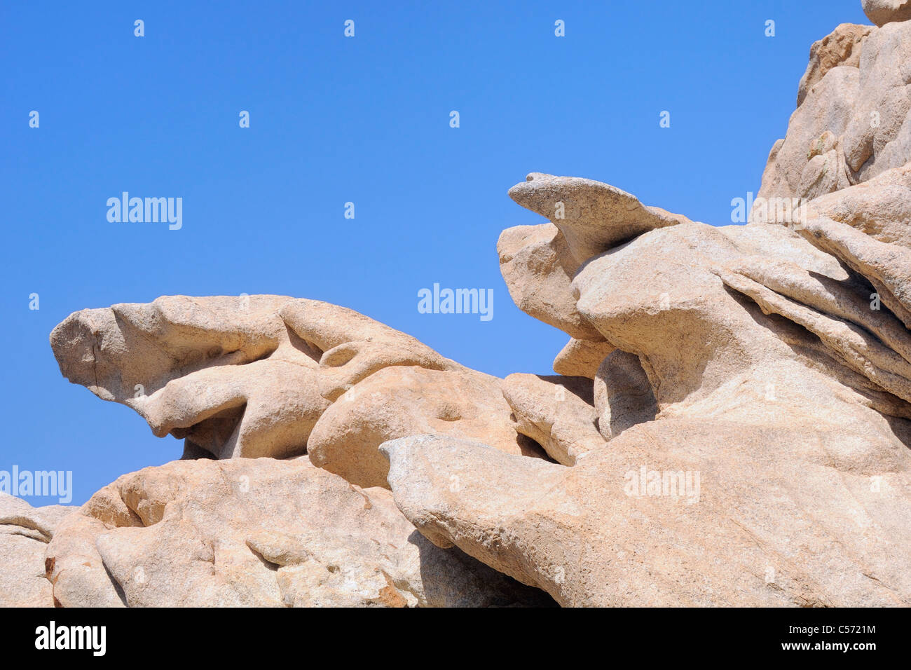 Massi di granito sulla costa scolpite dal vento, meteo e mare dentro lo squalo e il mammifero-come le forme, Punto di Campomoro, Corsica. Foto Stock