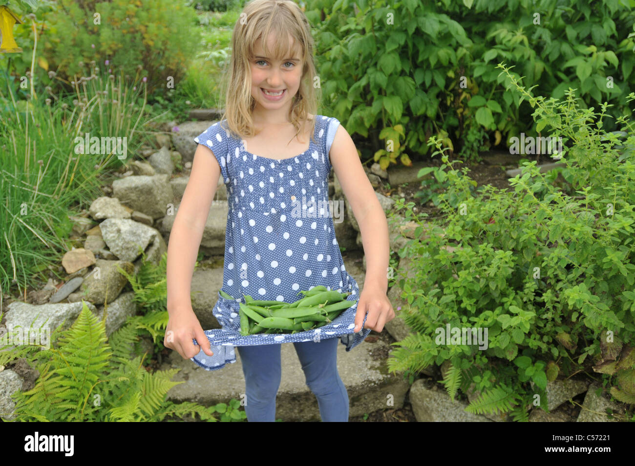 Una bimba di 8 anni, mostra dei piselli che ha appena prelevato Foto Stock