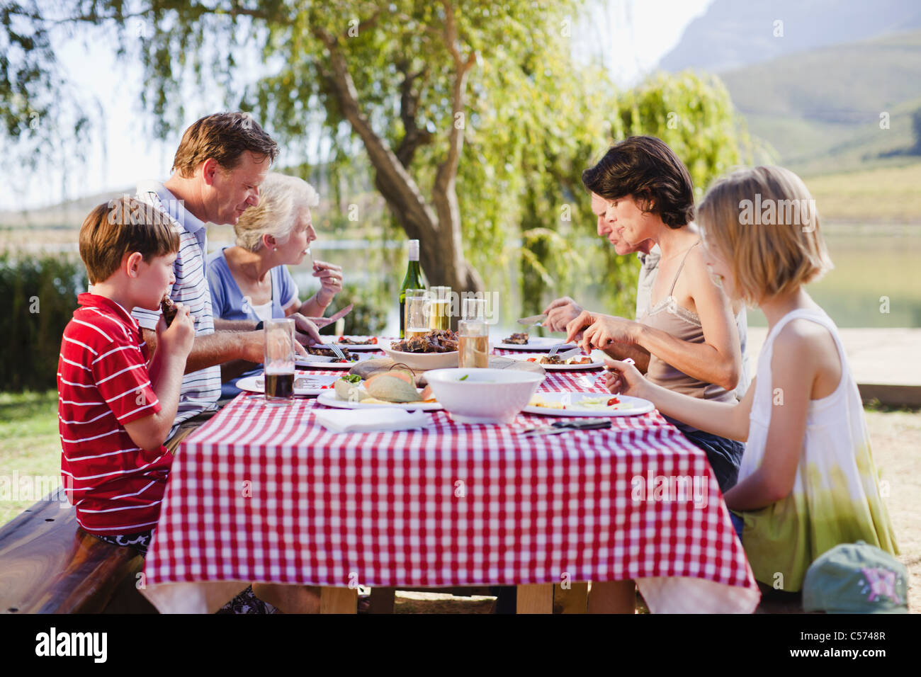 Multi generazione famiglia avente un picnic Foto Stock