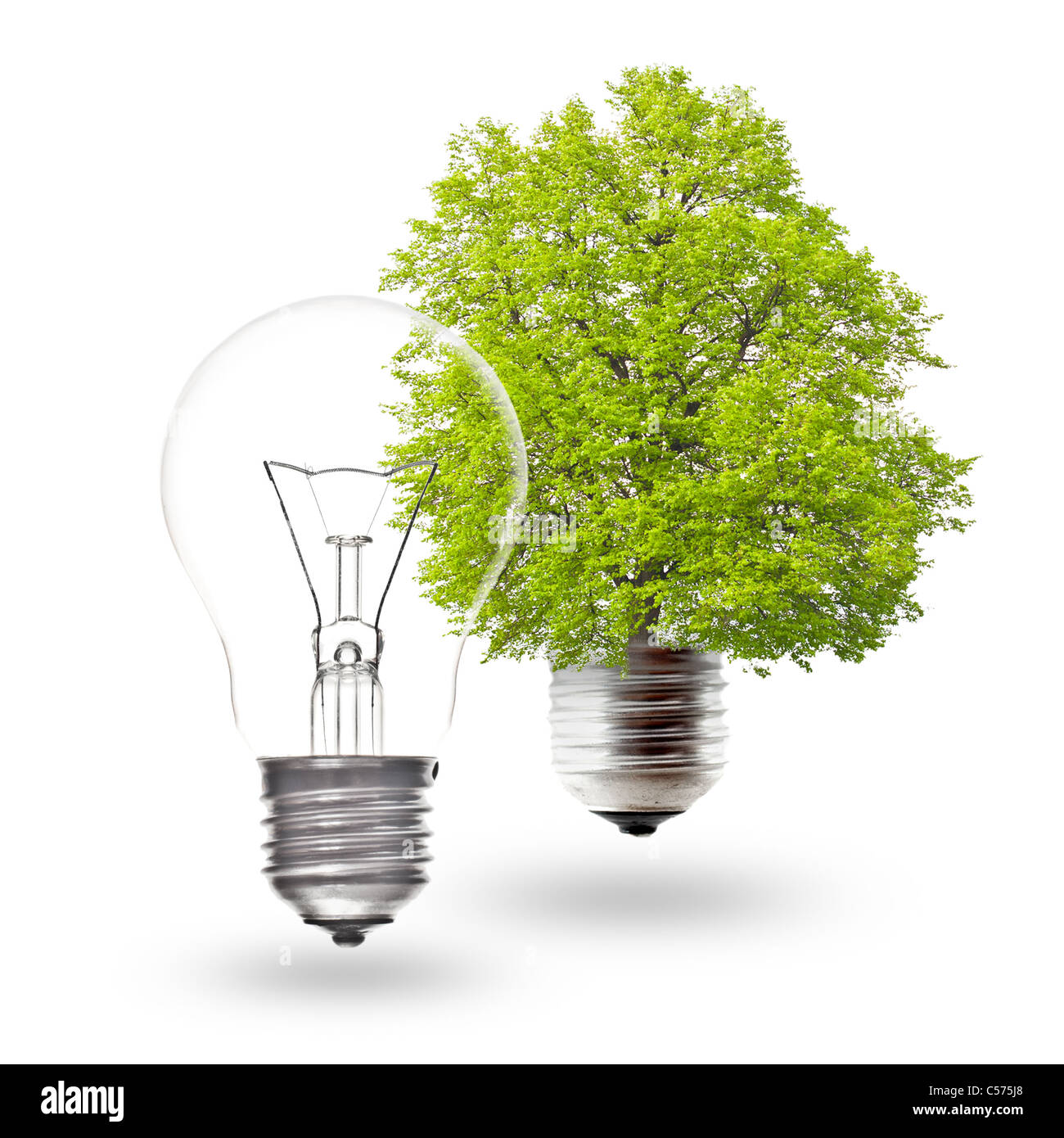 Lampadina elettrica e verde della lampadina di luce su uno sfondo bianco. Il concetto di energia rinnovabile. Foto Stock