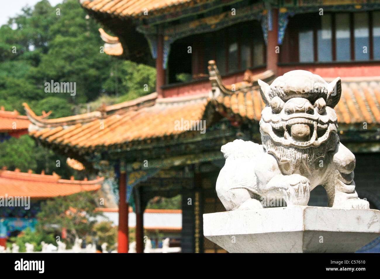 Drago Cinese, pietra e cemento, Tempio di Yuantong, Kunming, in Cina Foto Stock Drago Cinese, pietra e cemento, Tempio di Yuantong, Kunming, in Cina Foto Stock