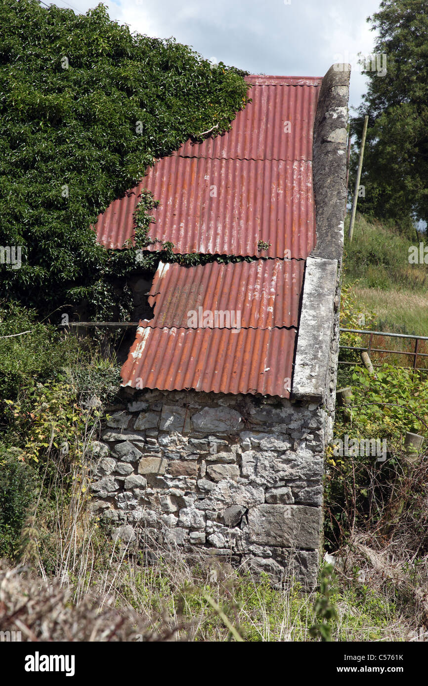 Ferro corrugato tetto, byre irlandese, Co. Monaghan, Irlanda Foto Stock