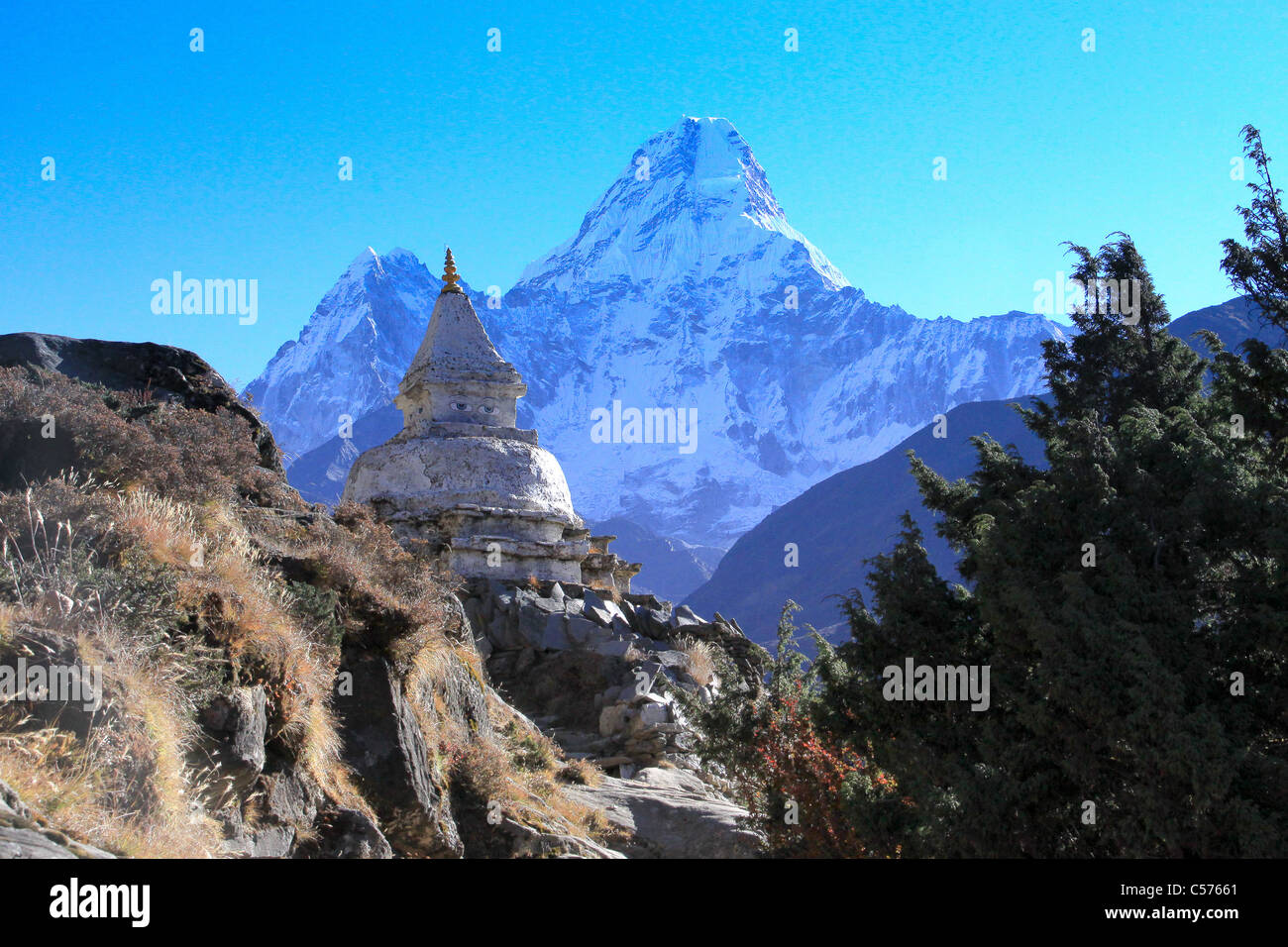 Tempio buddista e pregando ruote, Campo Base Everest trail, Nepal, decorazioni Religiose, divinità, artefatti dèi, Buddha, Tem Foto Stock Tempio buddista e pregando ruote, Campo Base Everest trail, Nepal, decorazioni Religiose, divinità, artefatti dèi, Buddha, Tem Foto Stock