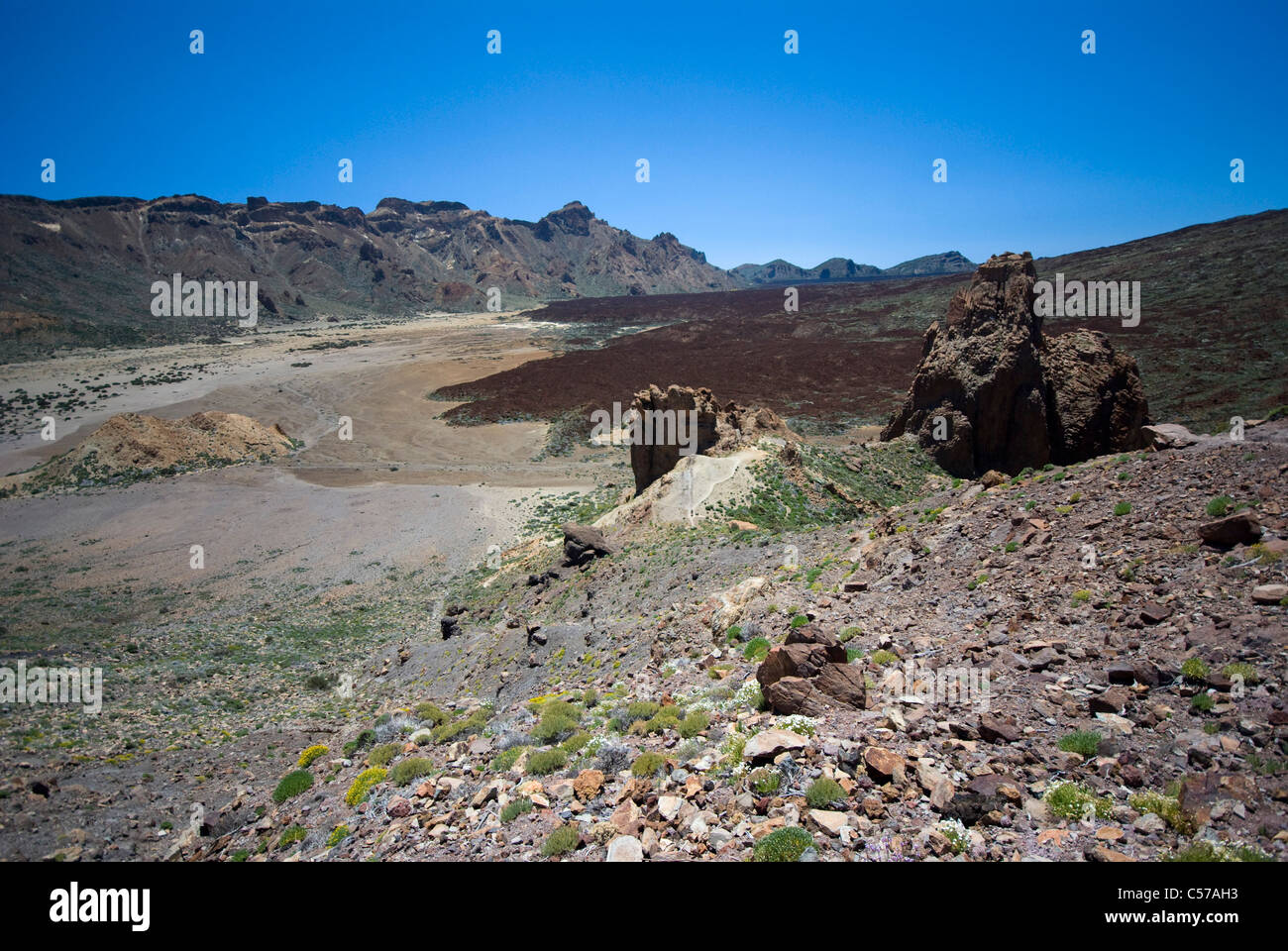 Flussi di origine vulcanica e depositi sul Teide, Tenerife, Spagna Foto Stock