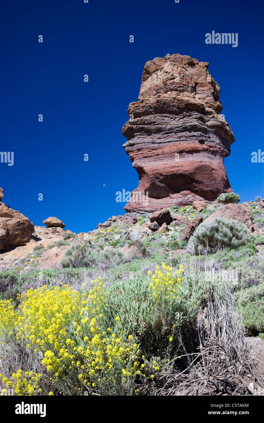 Tappo di origine vulcanica del Monte Teide, Tenerife, Spagna Foto Stock