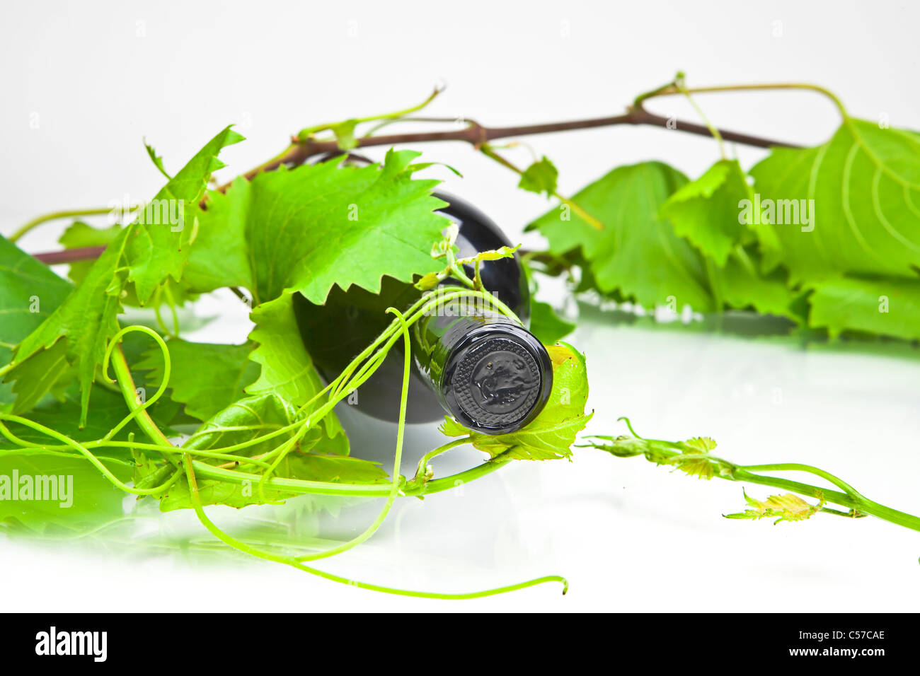 Una bottiglia di vino rosso con foglie e viticci Foto Stock