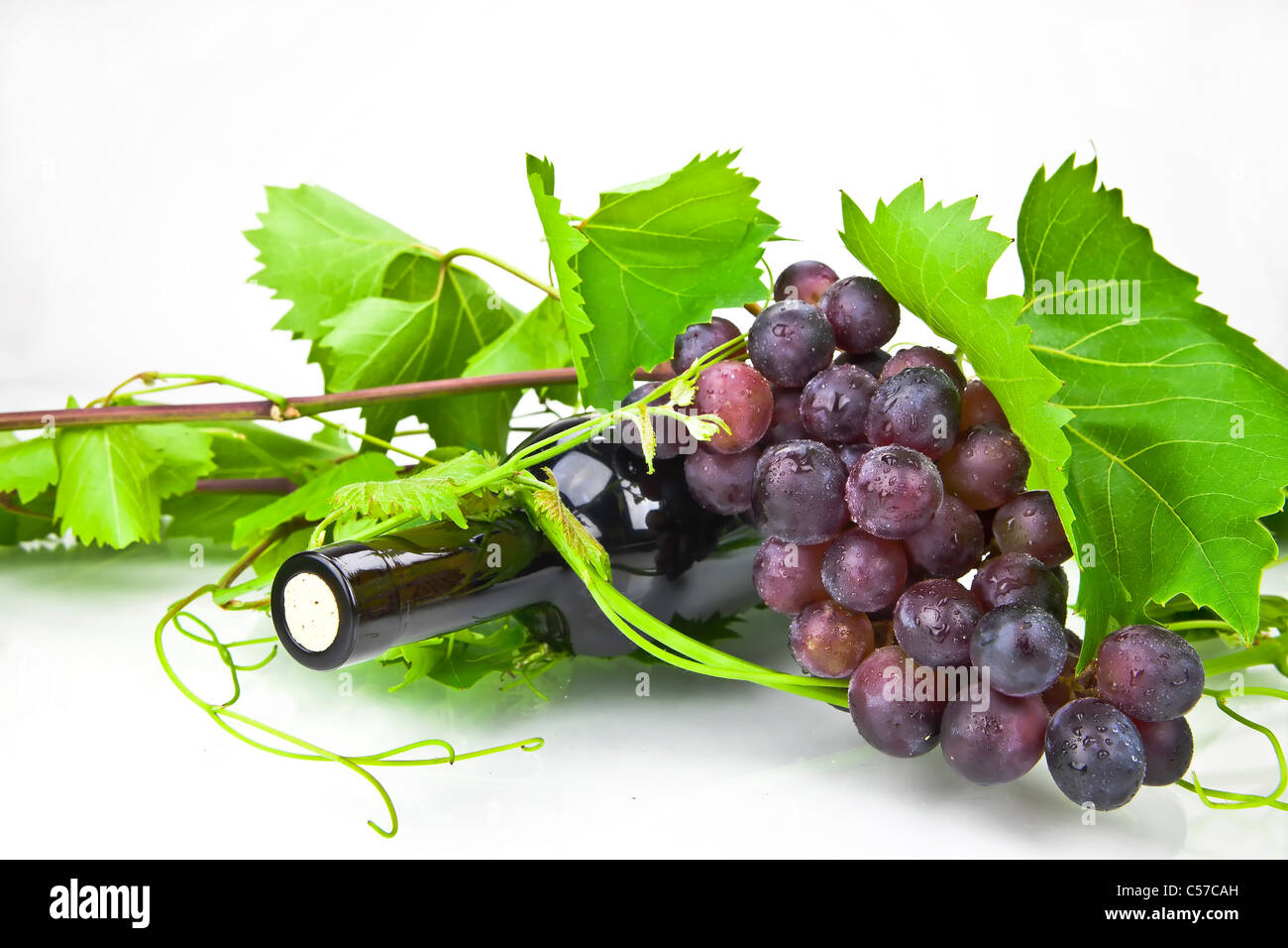 Una bottiglia di vino rosso con foglie e viticci Foto Stock