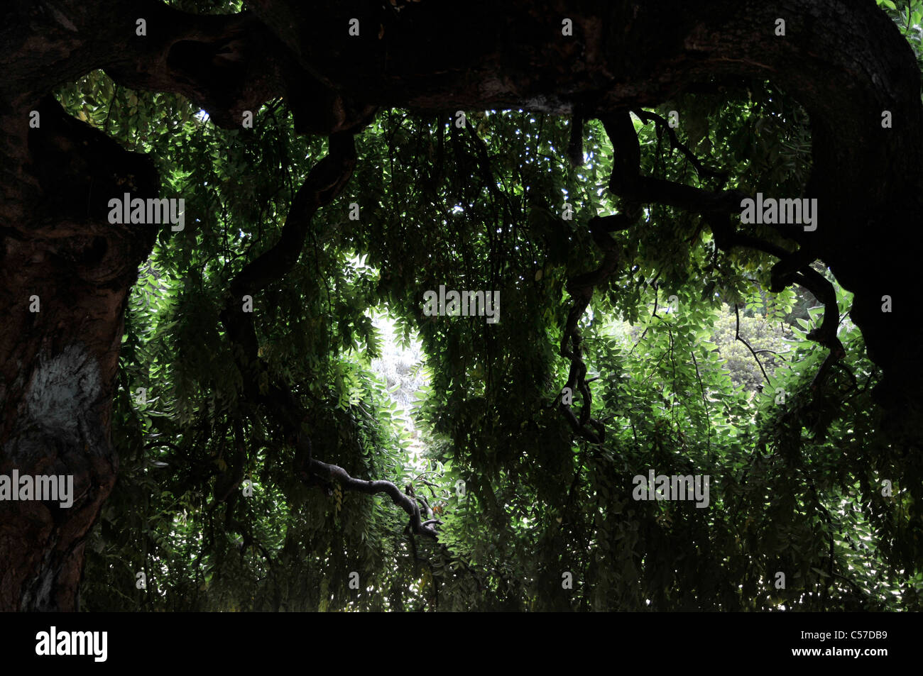 All'interno di una bella struttura Pagoda. Foto Stock