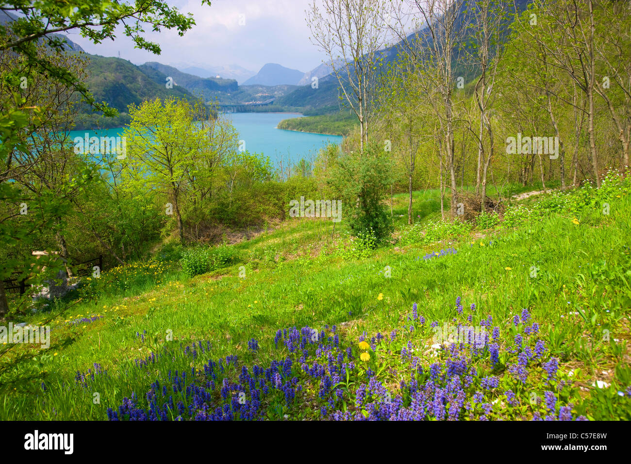 Lago di Cavazzo, Italia, Europa, Friuli Venezia Giulia, lago e mare, alberi, prati, fiori Foto Stock