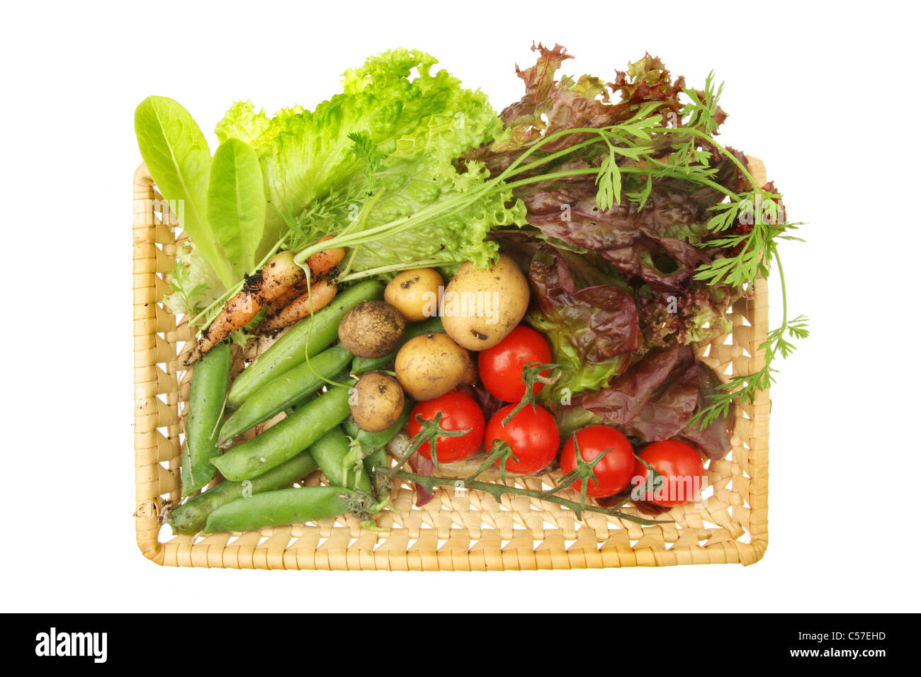 Appena raccolto orto di verdure e foglie di insalata in un cestello isolata contro bianco Foto Stock