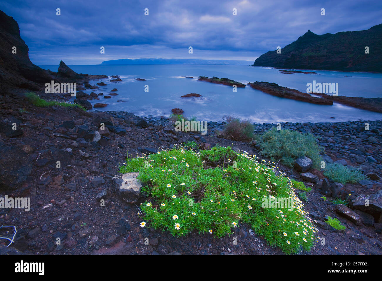 Playa de la Caleta, Spagna, Europa, Isole Canarie, Isole La Gomera, isola, isola, spiaggia, mare, piante, alba, rock, clif Foto Stock