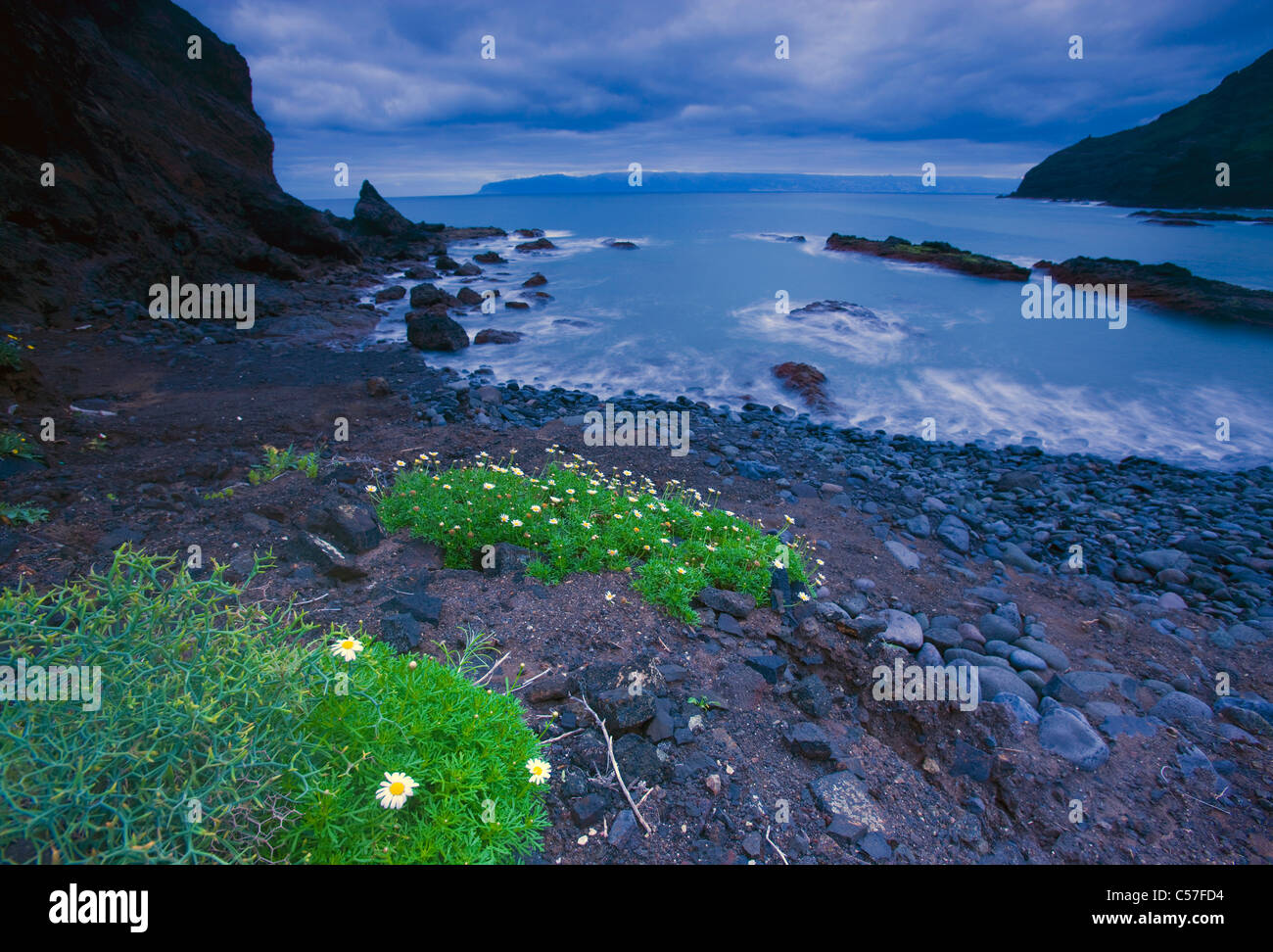 Playa de la Caleta, Spagna, Europa, Isole Canarie, Isole La Gomera, isola, isola, spiaggia, mare, piante, alba, rock, clif Foto Stock