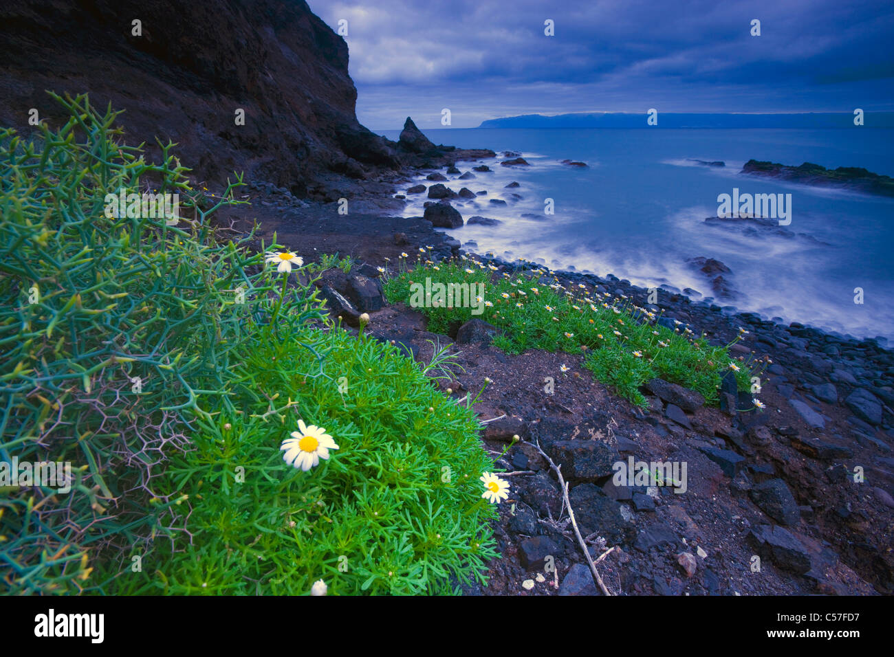 Playa de la Caleta, Spagna, Europa, Isole Canarie, Isole La Gomera, isola, isola, spiaggia, mare, piante, alba, rock, clif Foto Stock