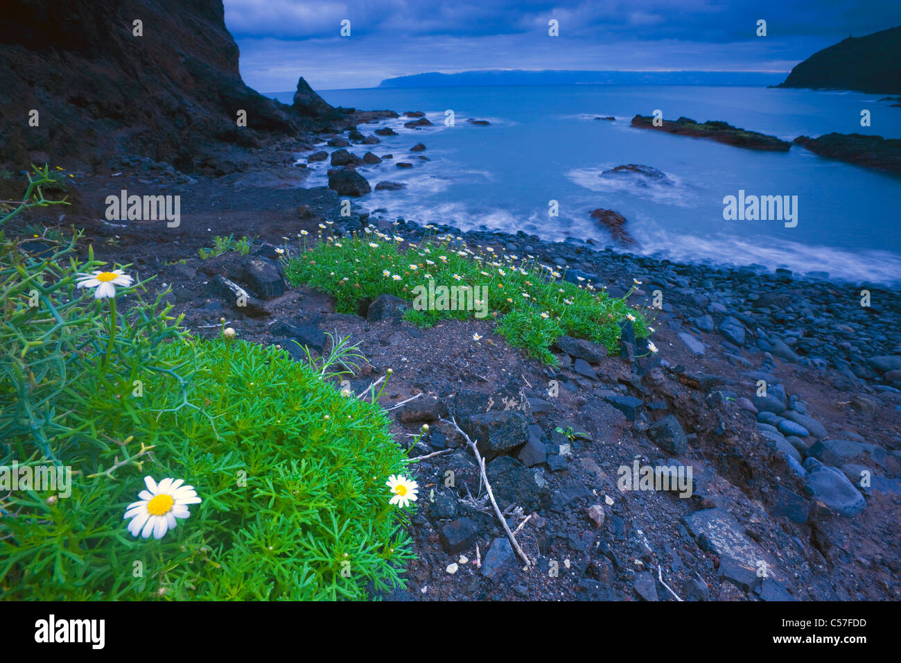 Playa de la Caleta, Spagna, Europa, Isole Canarie, Isole La Gomera, isola, isola, spiaggia, mare, piante, alba, rock, clif Foto Stock