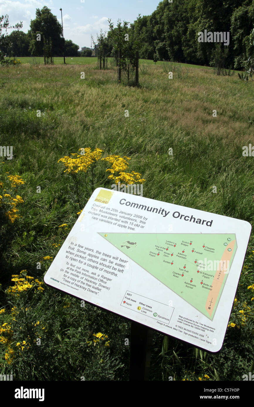 Comunità orchard vicino al London 2012 Olympic Park, Regno Unito Foto Stock