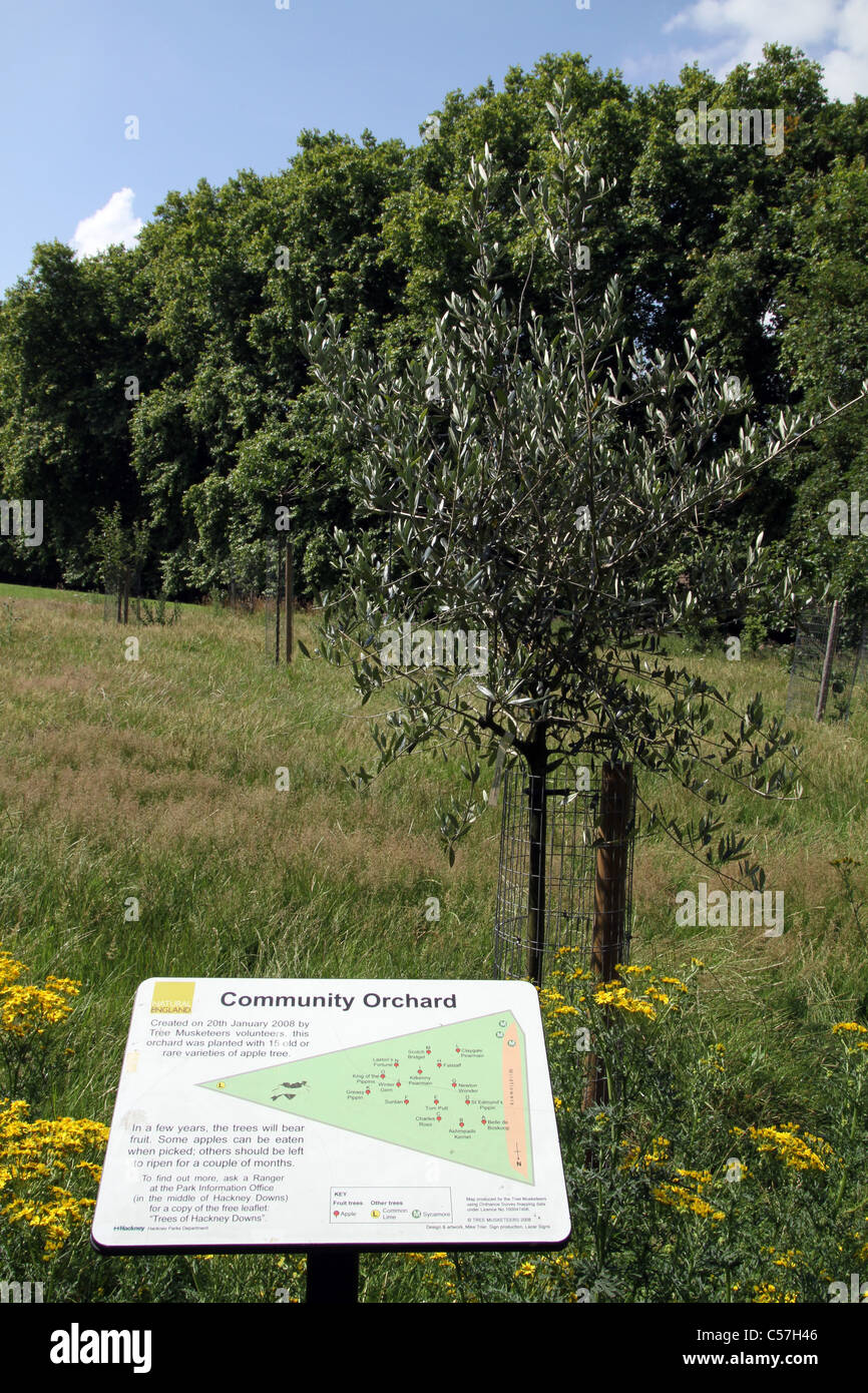 Comunità orchard vicino al London 2012 Olympic Park, Regno Unito Foto Stock