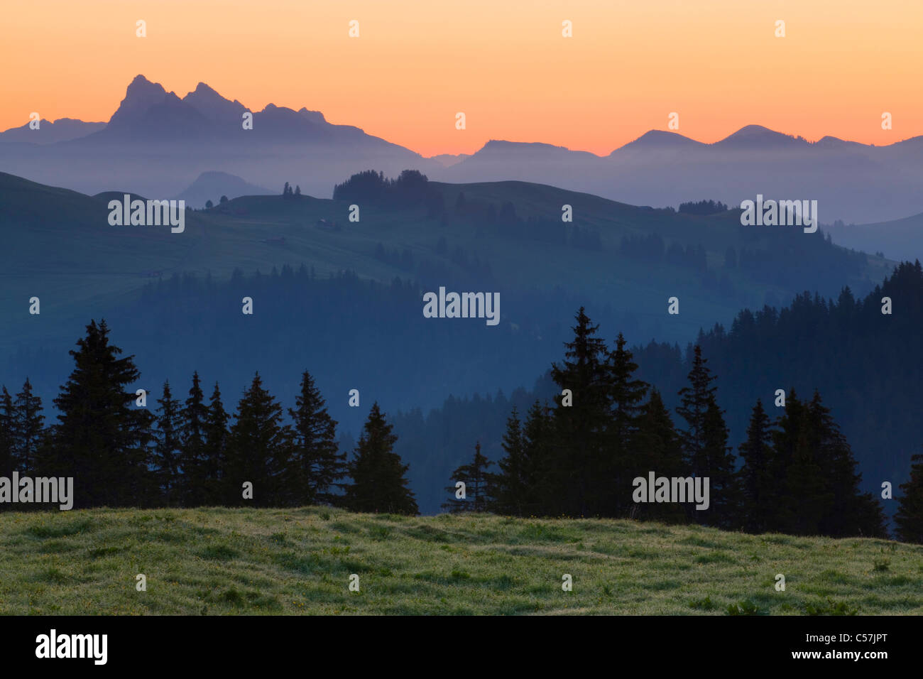 Pays d'Enhaut, Svizzera, Europa, canton Vaud, alp, legno, foreste di abeti, montagne, lo spuntar del giorno Foto Stock