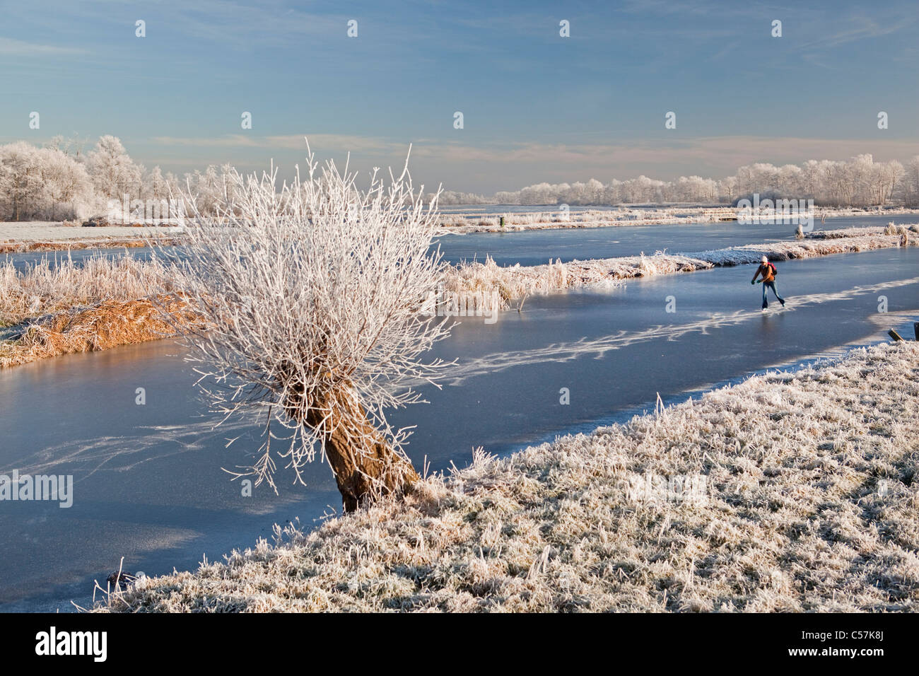 I Paesi Bassi, LOENEN AAN DE VECHT. La donna il pattinaggio su ghiaccio e Willow Tree nella neve. Foto Stock