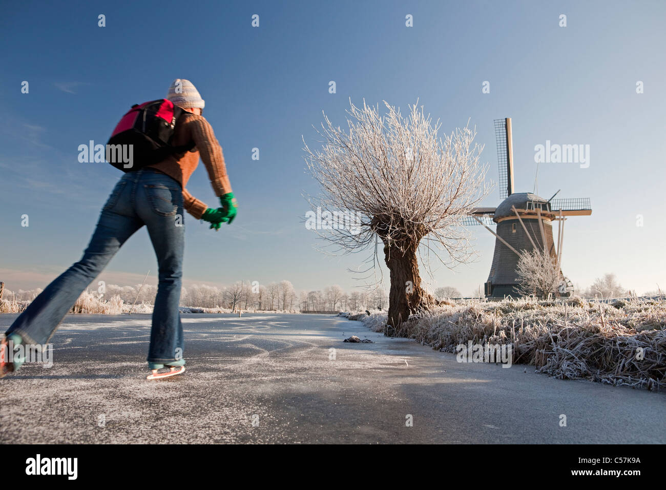 I Paesi Bassi, LOENEN AAN DE VECHT. La donna il pattinaggio su ghiaccio e Willow Tree nella neve. Foto Stock
