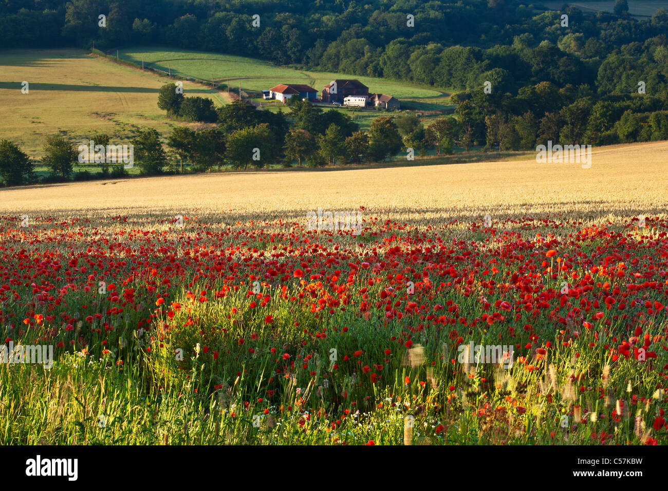 Paese pastorale in scena nella valle del fiume Darent nel Kent Foto Stock