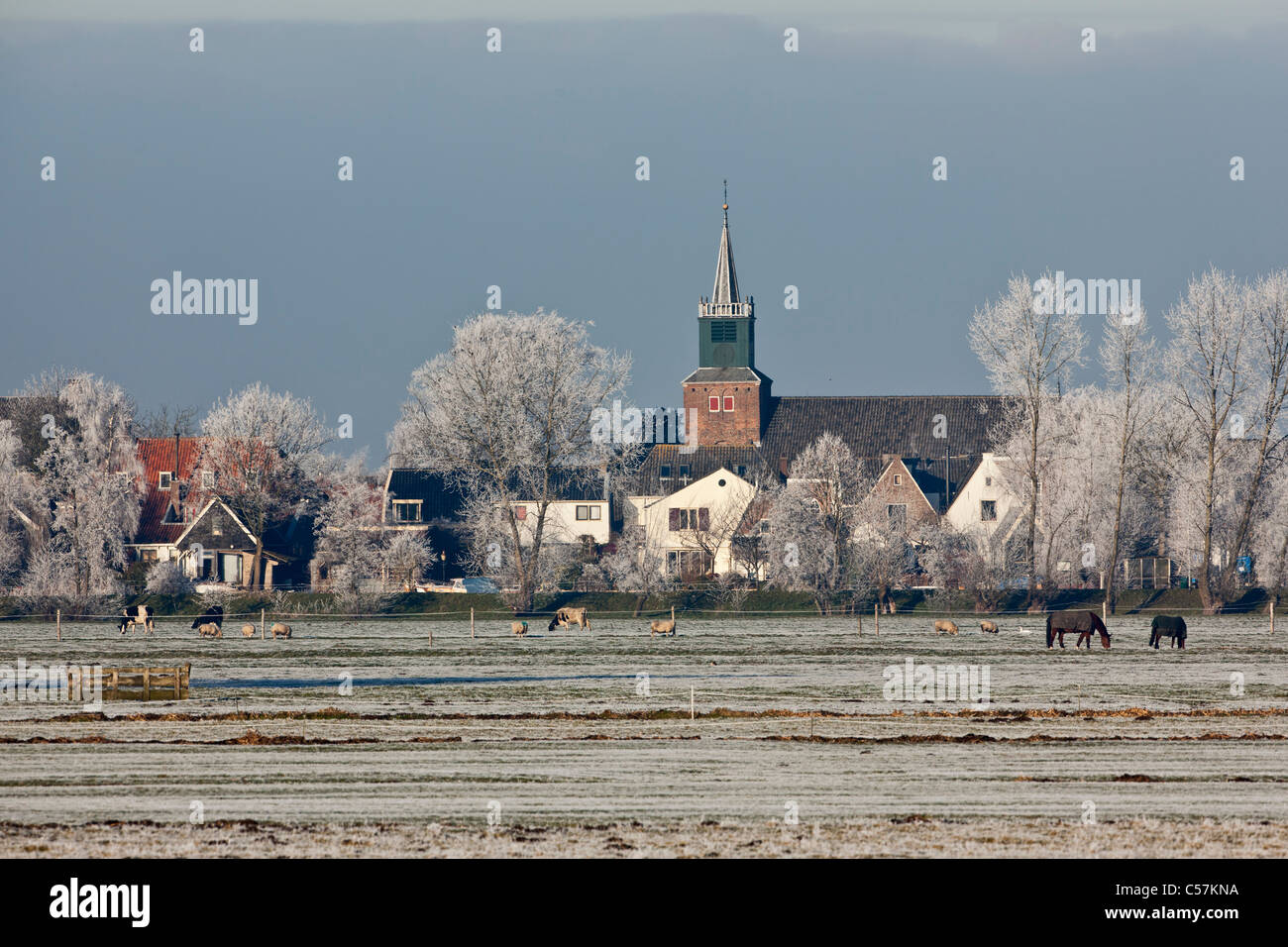 I Paesi Bassi, Nigtevecht, vista panoramica sul villaggio. L'inverno. Foto Stock