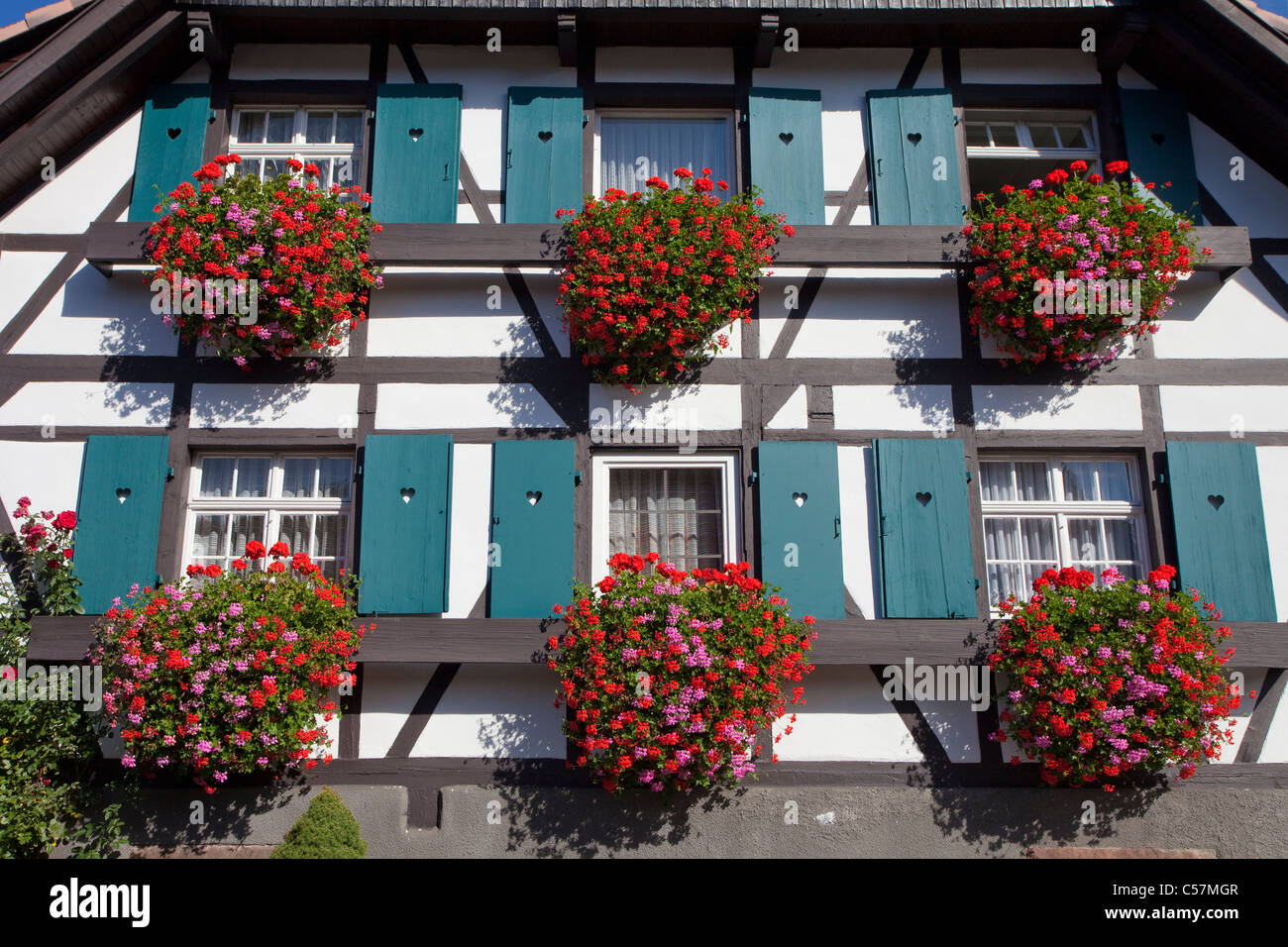 Fassade von einem Bauernhaus, Facherkhaus a Sasbachwalden, facciata di una casa in legno e muratura con decorazioni di fiori Foto Stock