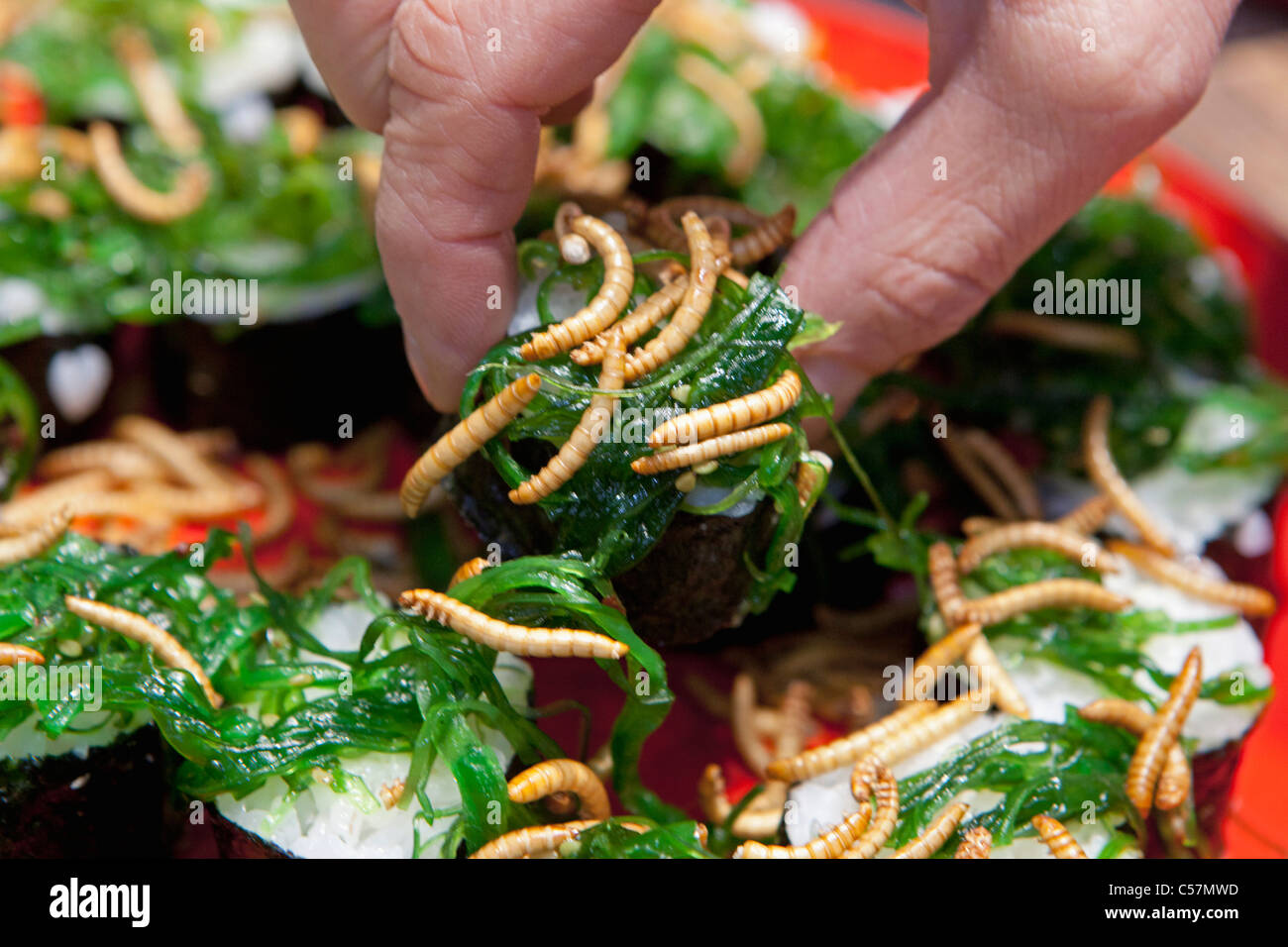 I Paesi Bassi Utrecht, fiera vacanziera denominata Vakantiebeurs, grigliate mealworms su sushi. Foto Stock