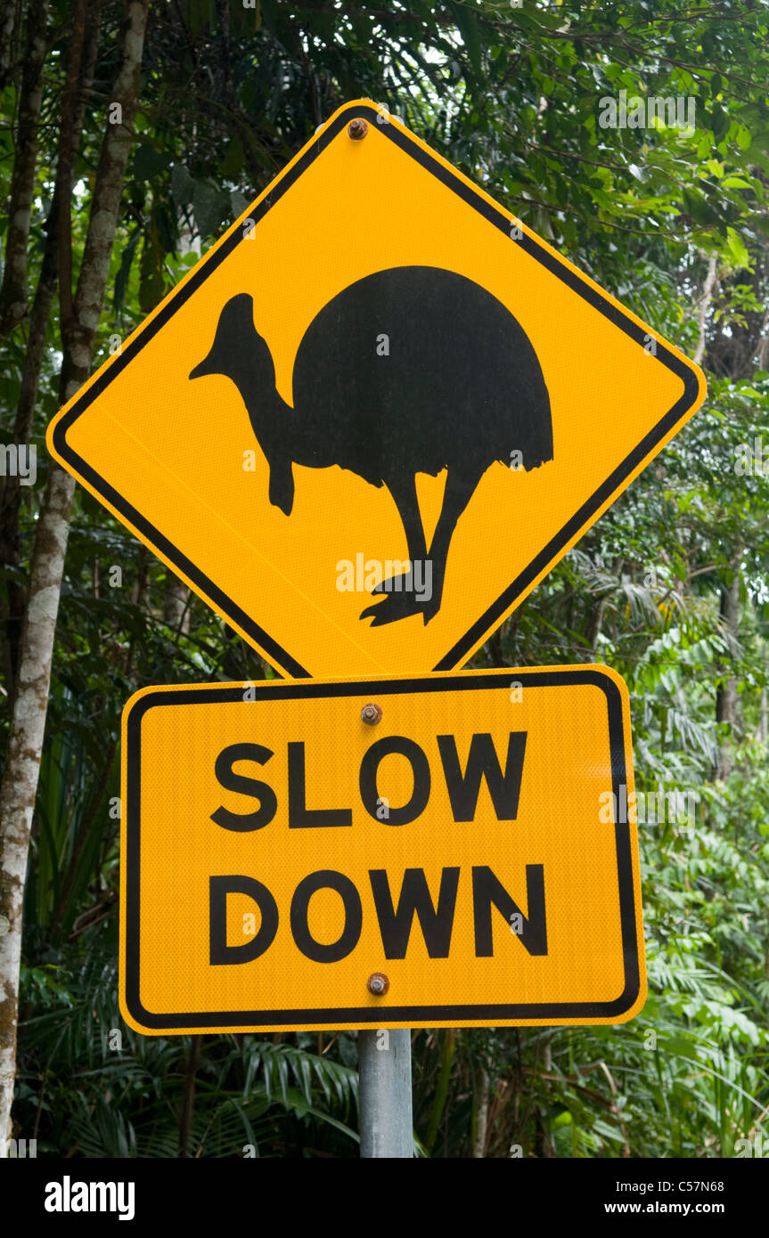 Un segno di avvertimento di driver uccelli Casuario sulla strada del Queensland, Australia Foto Stock