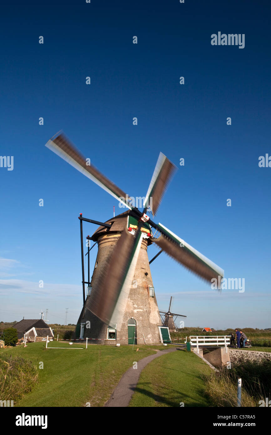 I Paesi Bassi, Kinderdijk, mulini a vento, Sito Patrimonio Mondiale dell'Unesco. Foto Stock