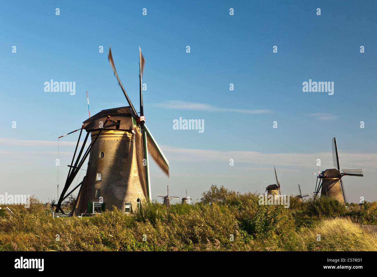 I Paesi Bassi, Kinderdijk, mulini a vento, Sito Patrimonio Mondiale dell'Unesco. Foto Stock