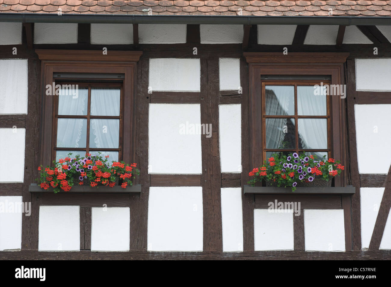 Dettaglio di una vecchia casa con fachwerk o semi-timbering nella città di Haslach, Schwarzwald, Baden-Württemberg, Germania Foto Stock