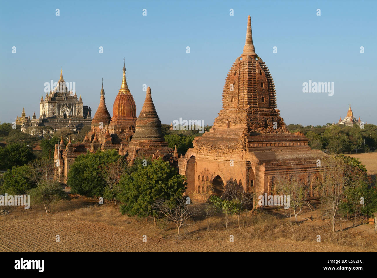Asia, birmania, myanmar, Bagan, Old Bagan, tempio Thatbyinnyu, religione, pagoda Foto Stock
