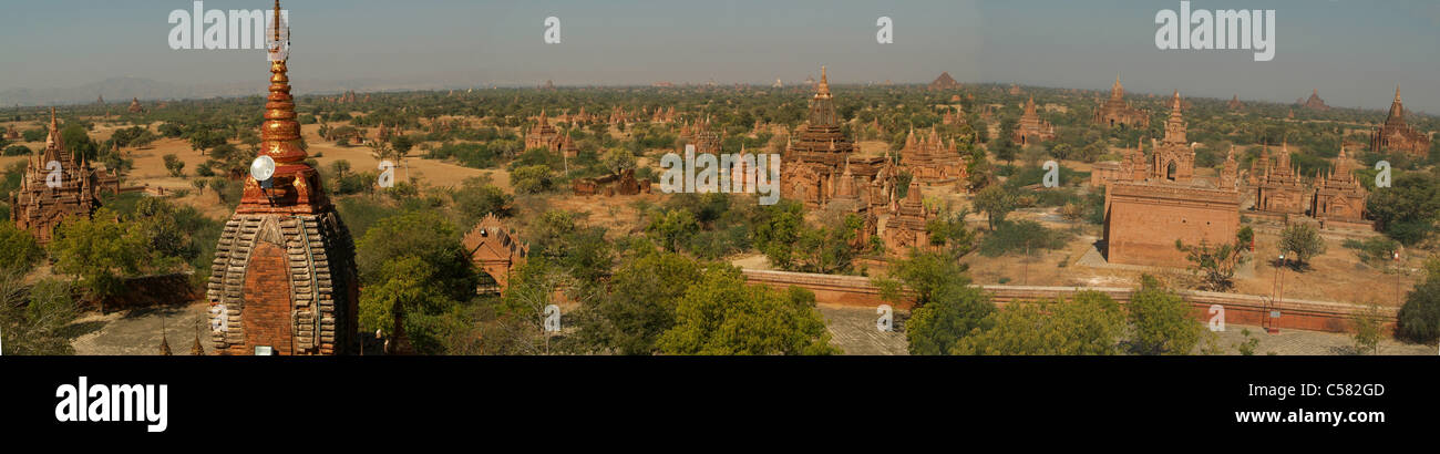 Asia, birmania, myanmar, Bagan, panorama, tempio, Dhammayangyi, panoramica Foto Stock