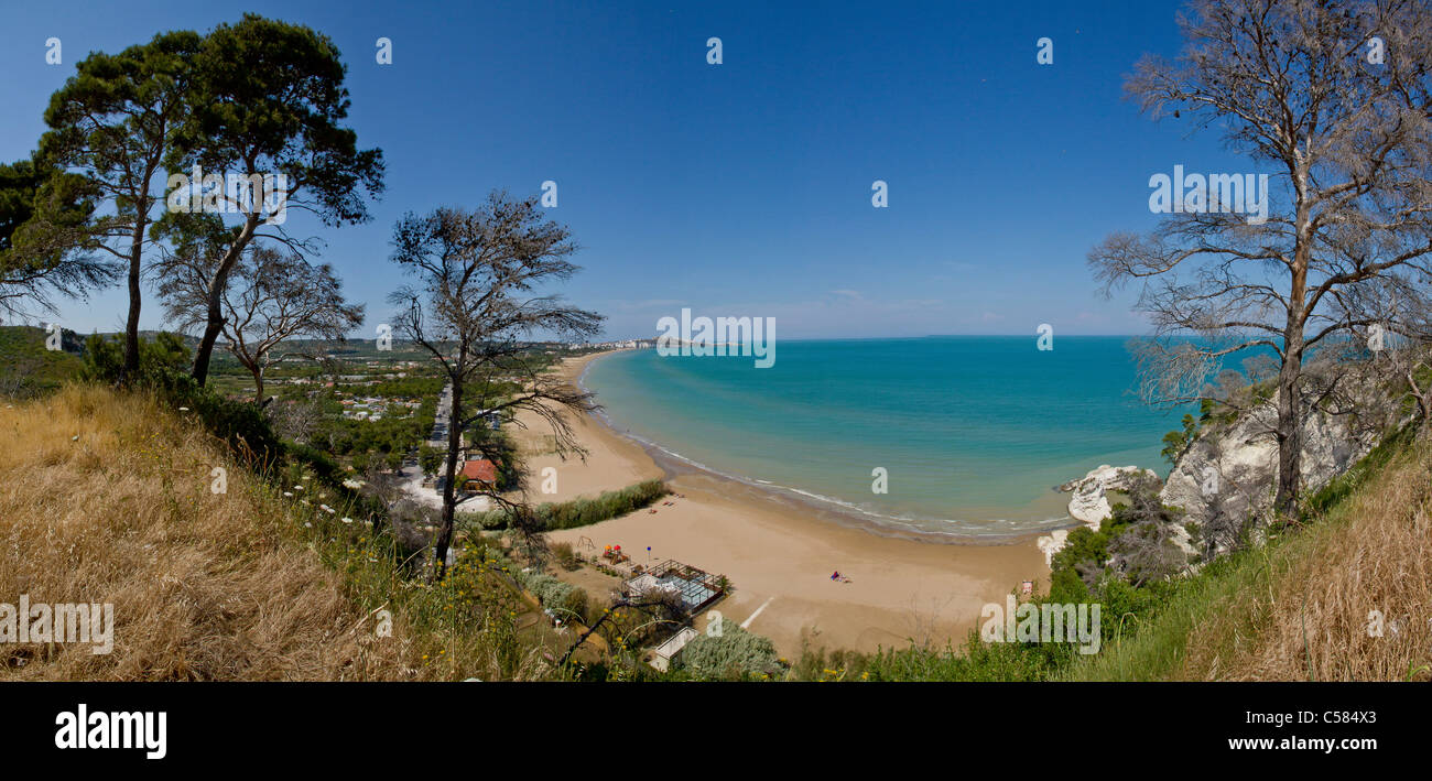 L'Italia, Europa, Spiaggia, Vieste del Gargano Puglia, paesaggio, acqua, alberi, la molla sulla spiaggia, sul mare Foto Stock