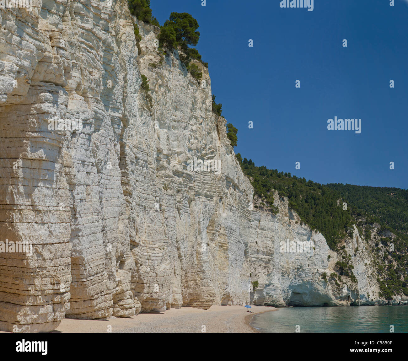 L'Italia, Europa, calcare, rocce, Baia di Vignanotica, Vieste del Gargano Puglia, paesaggio, acqua, la molla sulla spiaggia, sul mare Foto Stock