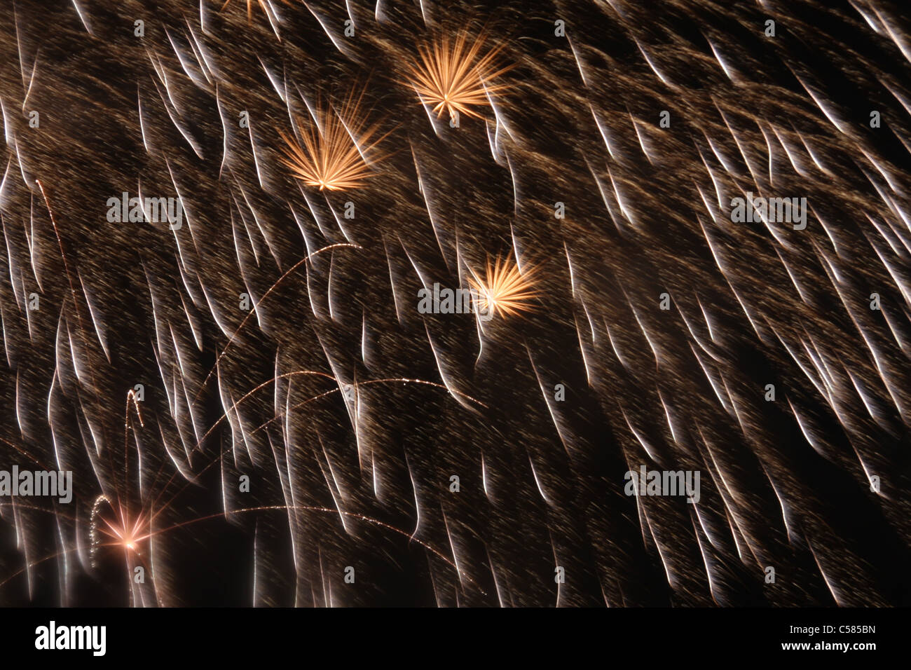 La Svizzera, agosto, vacanze, fuochi d'artificio, di notte, esplosione, luci, fuochi d'artificio Foto Stock