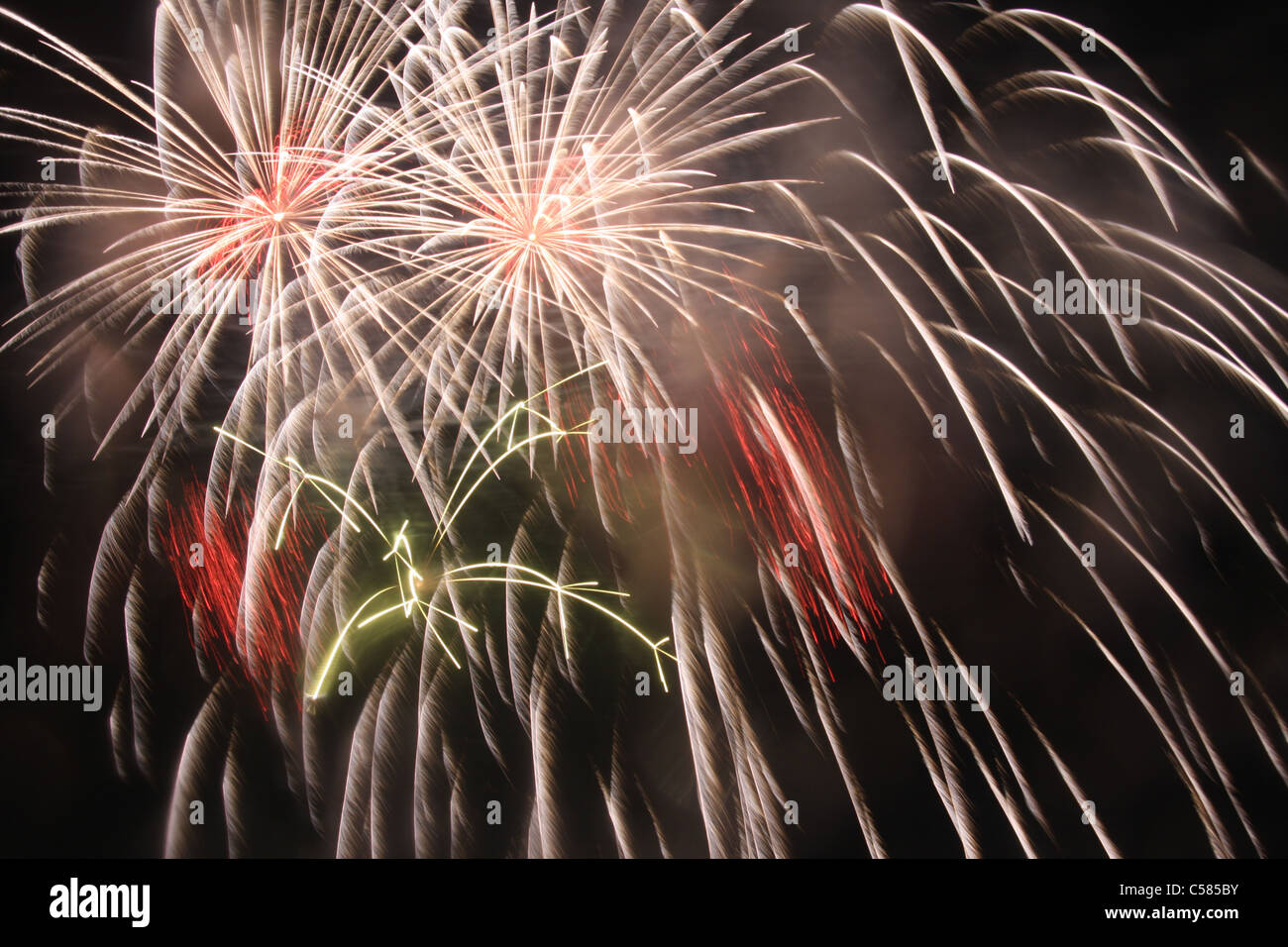 La Svizzera, agosto, vacanze, fuochi d'artificio, di notte, esplosione, luci, fuochi d'artificio Foto Stock
