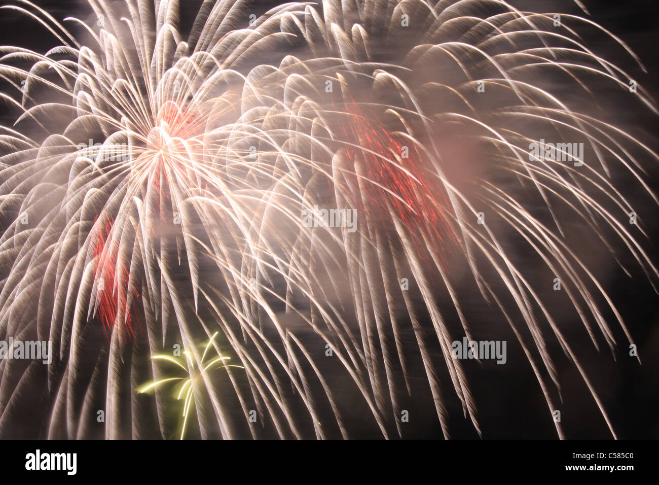 La Svizzera, agosto, vacanze, fuochi d'artificio, di notte, esplosione, luci, fuochi d'artificio Foto Stock