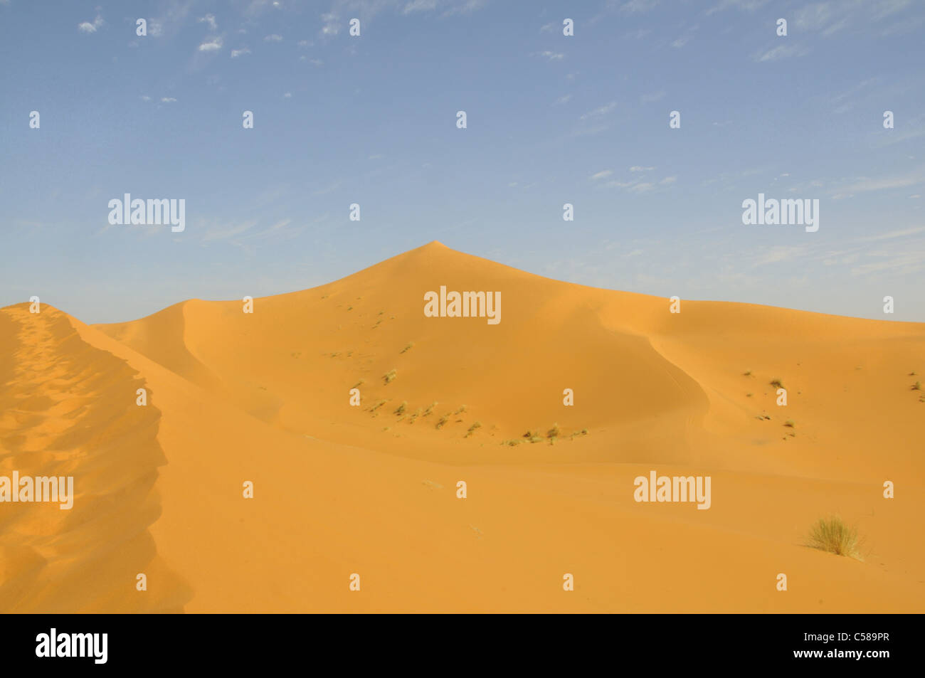 Africa, Marocco, Maghreb, Nord Africa, dune di sabbia, Erg Chebbi, deserto, dune del Sahara, sabbia, natura e paesaggio Foto Stock