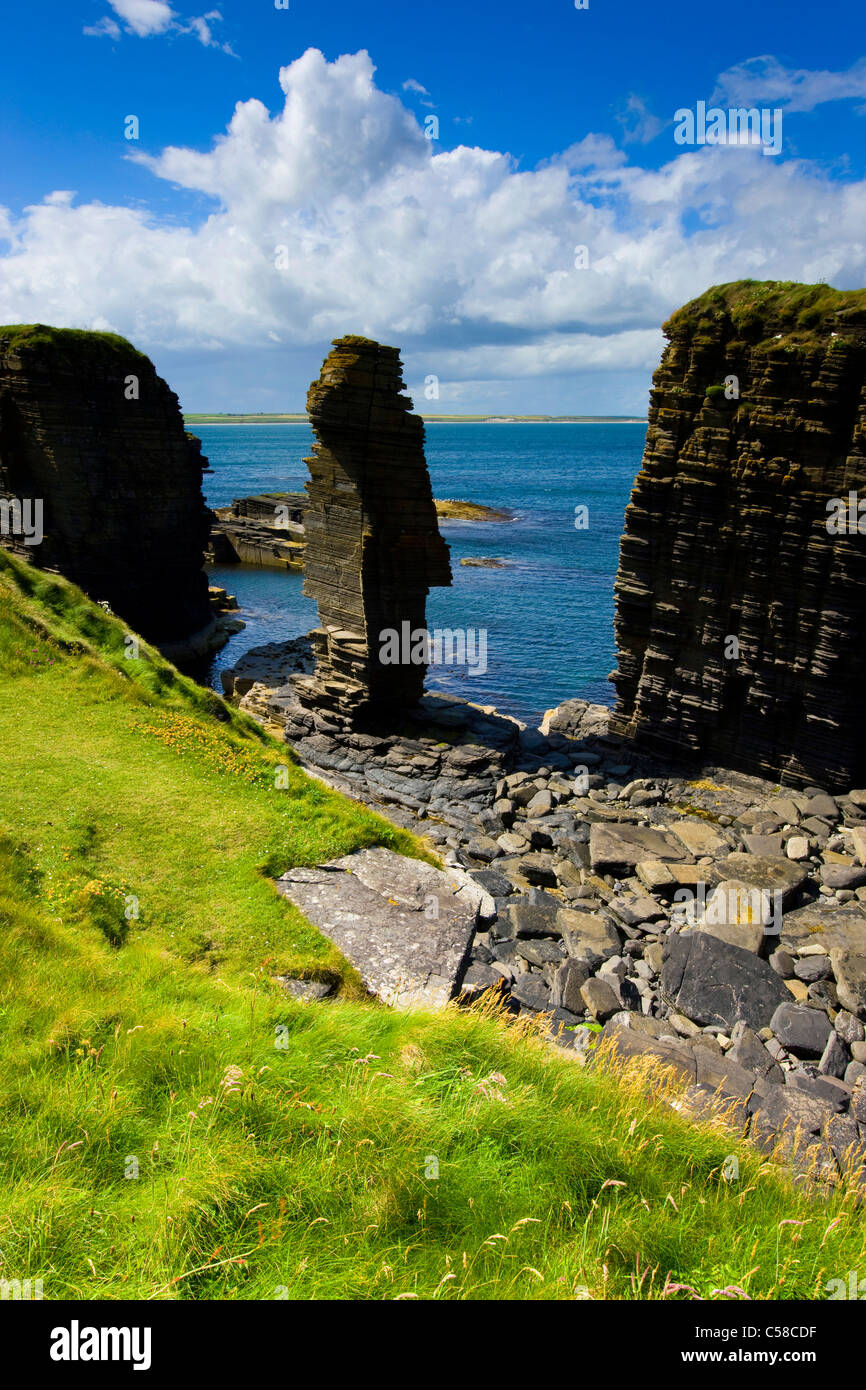 Noss Testa, Gran Bretagna, Scozia, Europa costa, rock, Cliff, cliff tower, erosione, nuvole Foto Stock