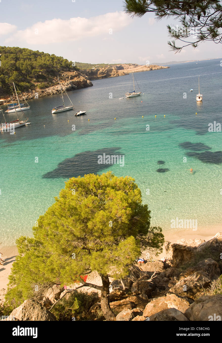 Cala Salada, un incontaminato baia naturale insieme alla fine di una foresta di pini, le sue rocce circostanti, San Antonio Ibiza Foto Stock