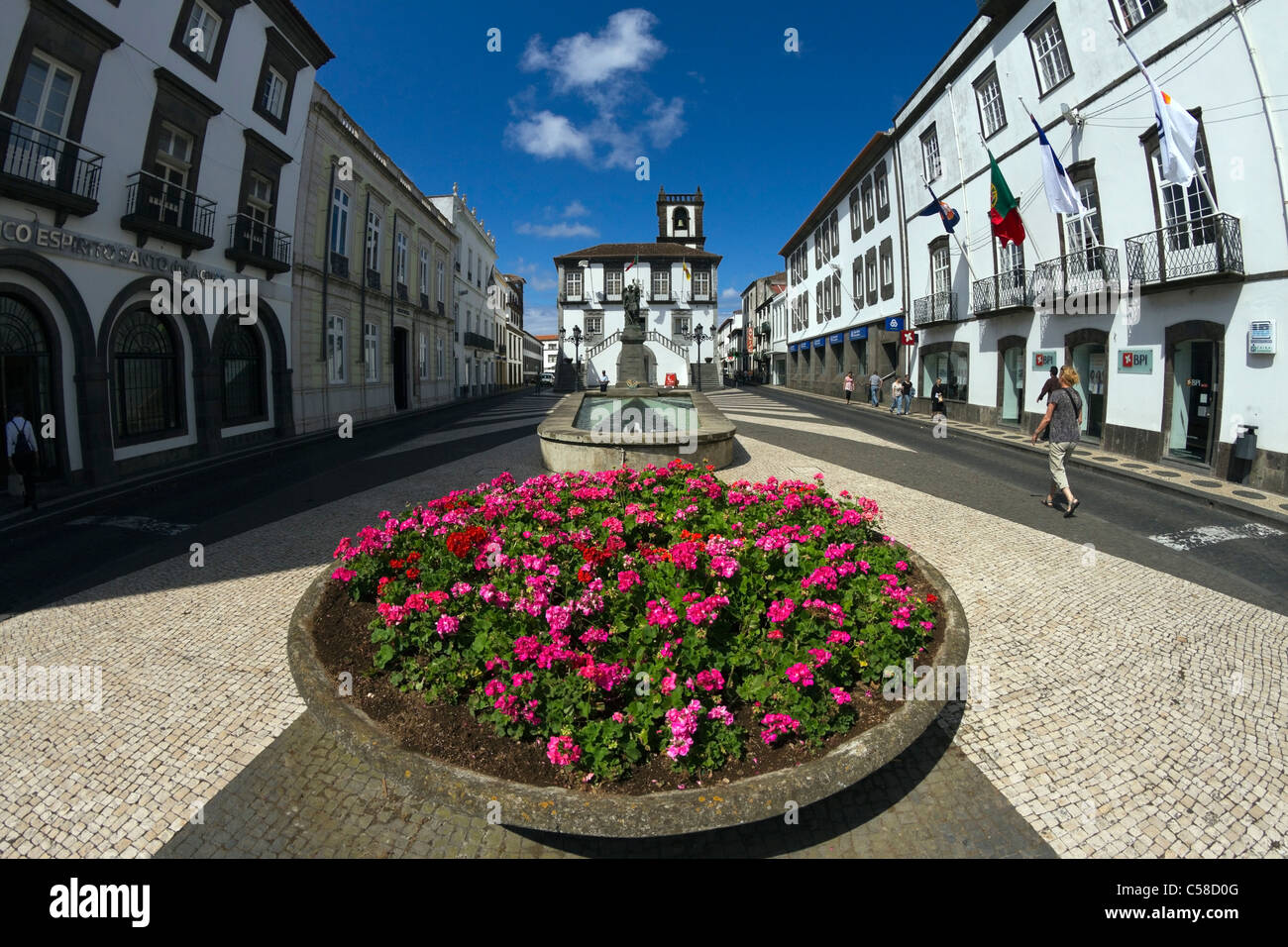 Grande Vaso di fiori di fronte al municipio di Ponta Delgada, Azzorre. Foto Stock