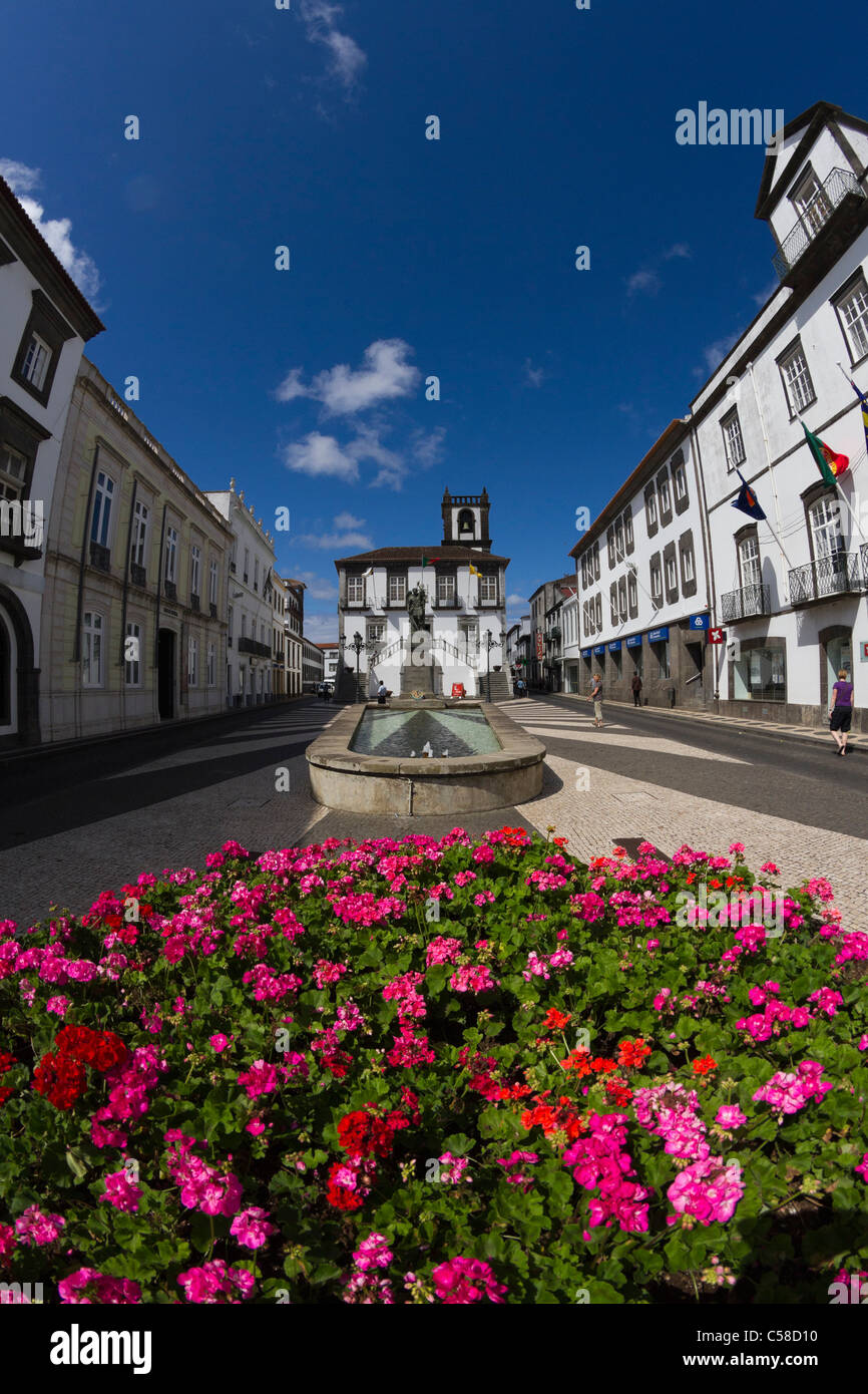 Grande Vaso di fiori di fronte al municipio di Ponta Delgada, Azzorre. Foto Stock