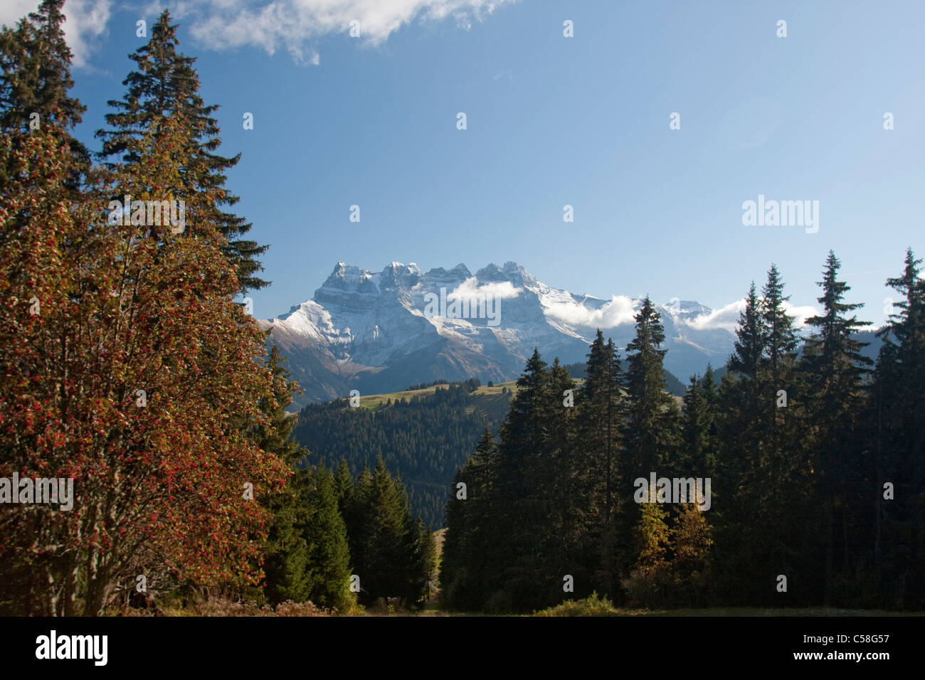 Dents du Midi, Morgins, Portes du Soleil, Svizzera Vallese, alpi, paesaggio, montagne Foto Stock