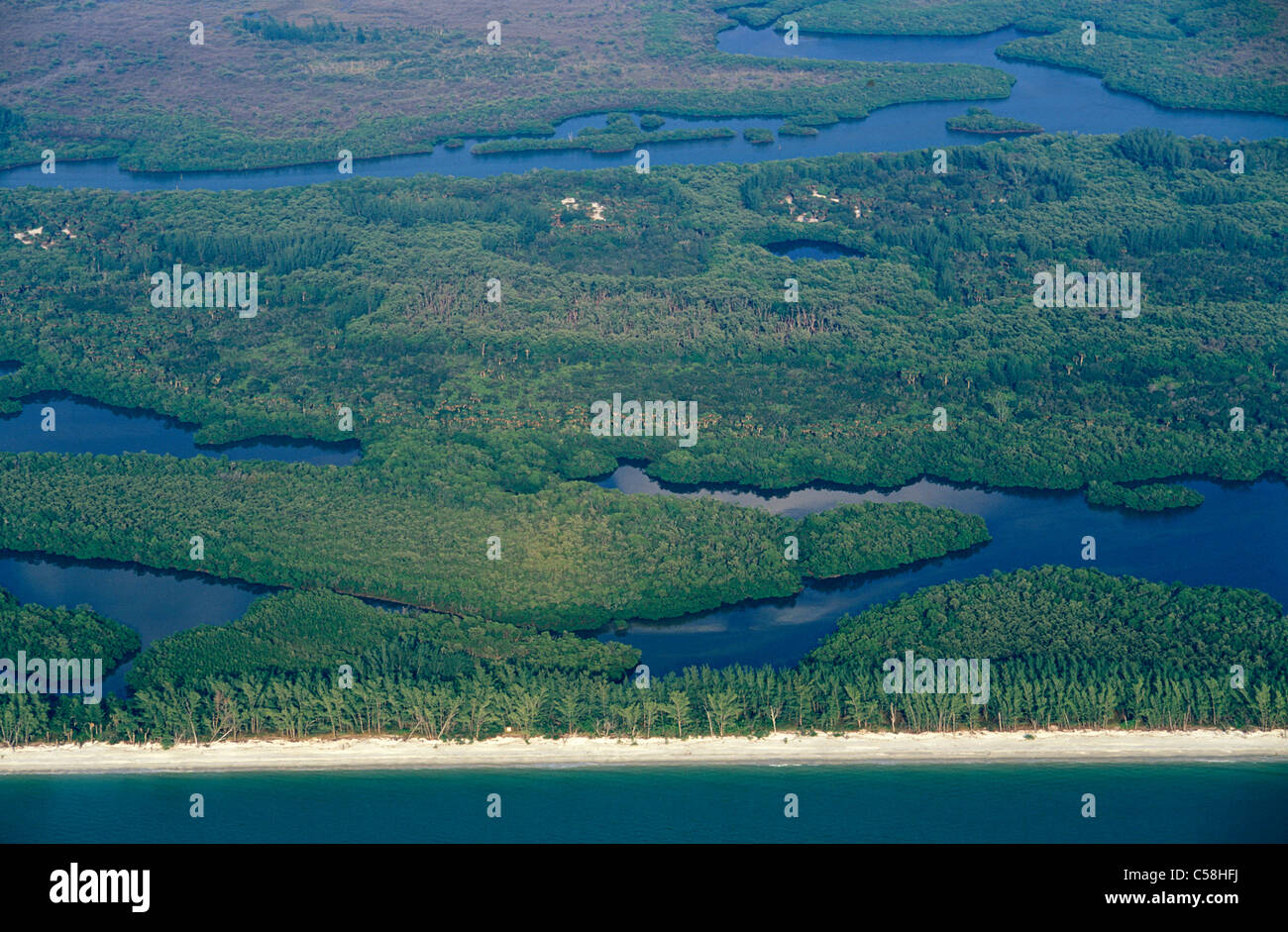 Vista aerea, spiaggia, vicino Napoli, costa del Golfo della Florida, Stati Uniti d'America, Stati Uniti, America, palude, natura Foto Stock