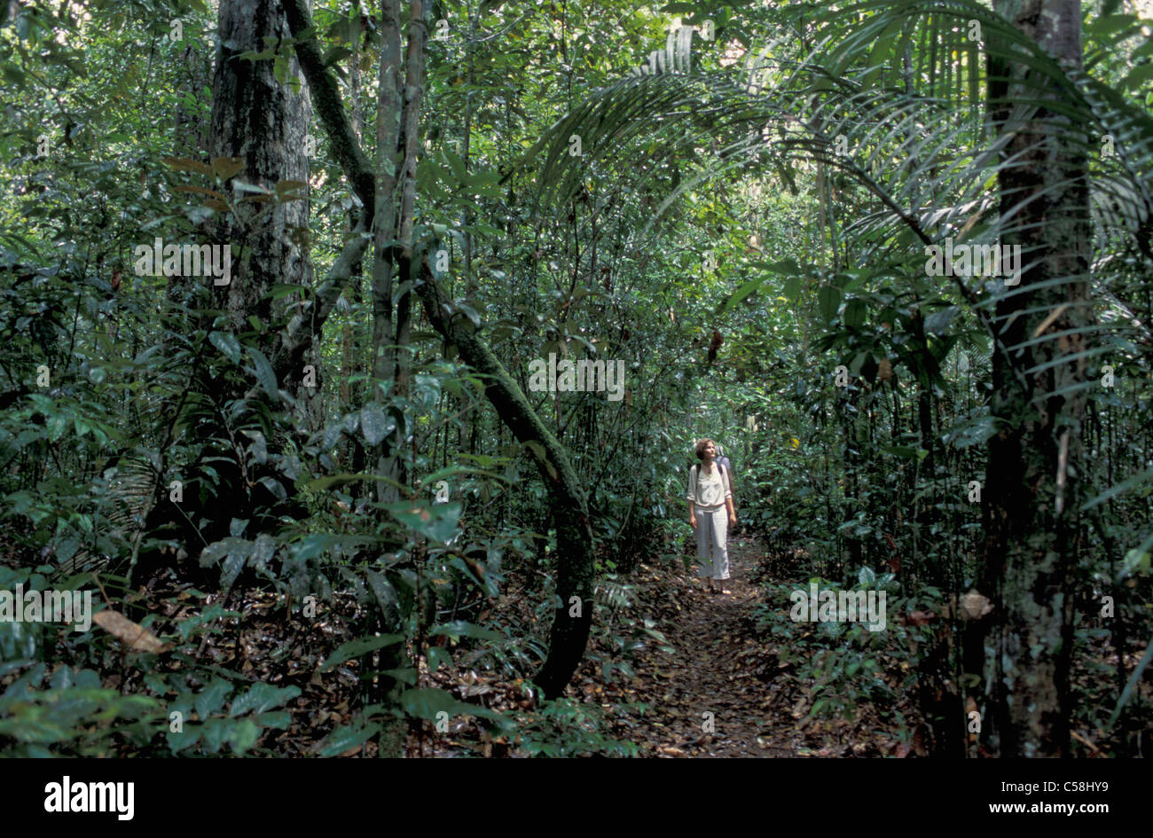 La foresta tropicale, lungo il Rio Negro, Manaus, Amazzonia, Brasile, Sud America, giungla, donna Foto Stock