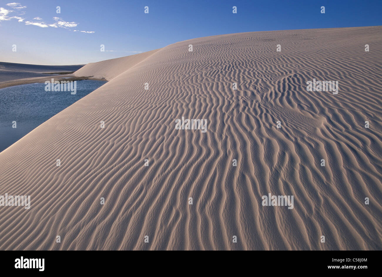 Le dune di sabbia, Parc Nacional dos Lencois, vicino Barreirinhas, Maranhao, Brasile, Sud America, struttura Foto Stock