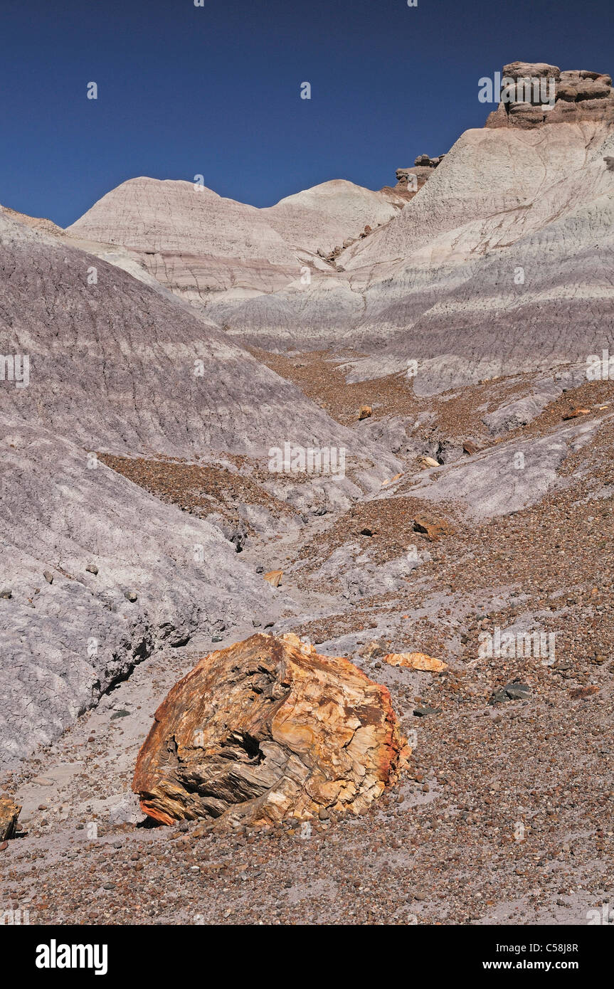 Blue Mesa Trail, Foresta Pietrificata, Parco Nazionale, Arizona, Stati Uniti d'America, Stati Uniti, America, rocce, montagne Foto Stock