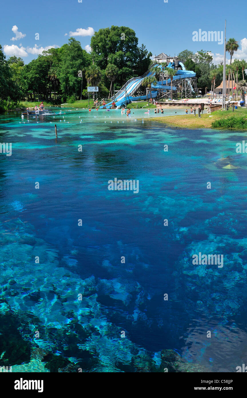 Weeki Wachee, molla, acqua park, Weeki Wachee Springs, Parco Statale, acqua, Florida, Stati Uniti d'America, Stati Uniti, America, visitatori turi Foto Stock